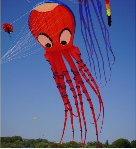 Giant Kites Festival
