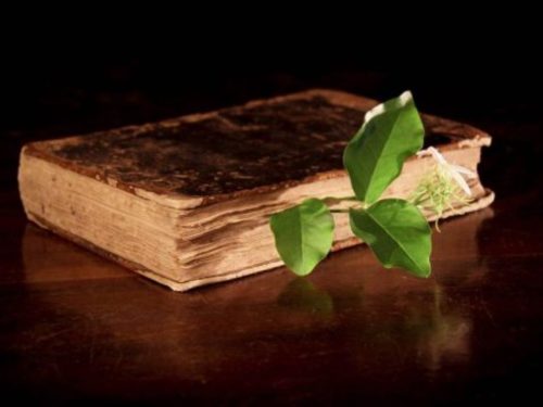 La evolución histórica de la medicina